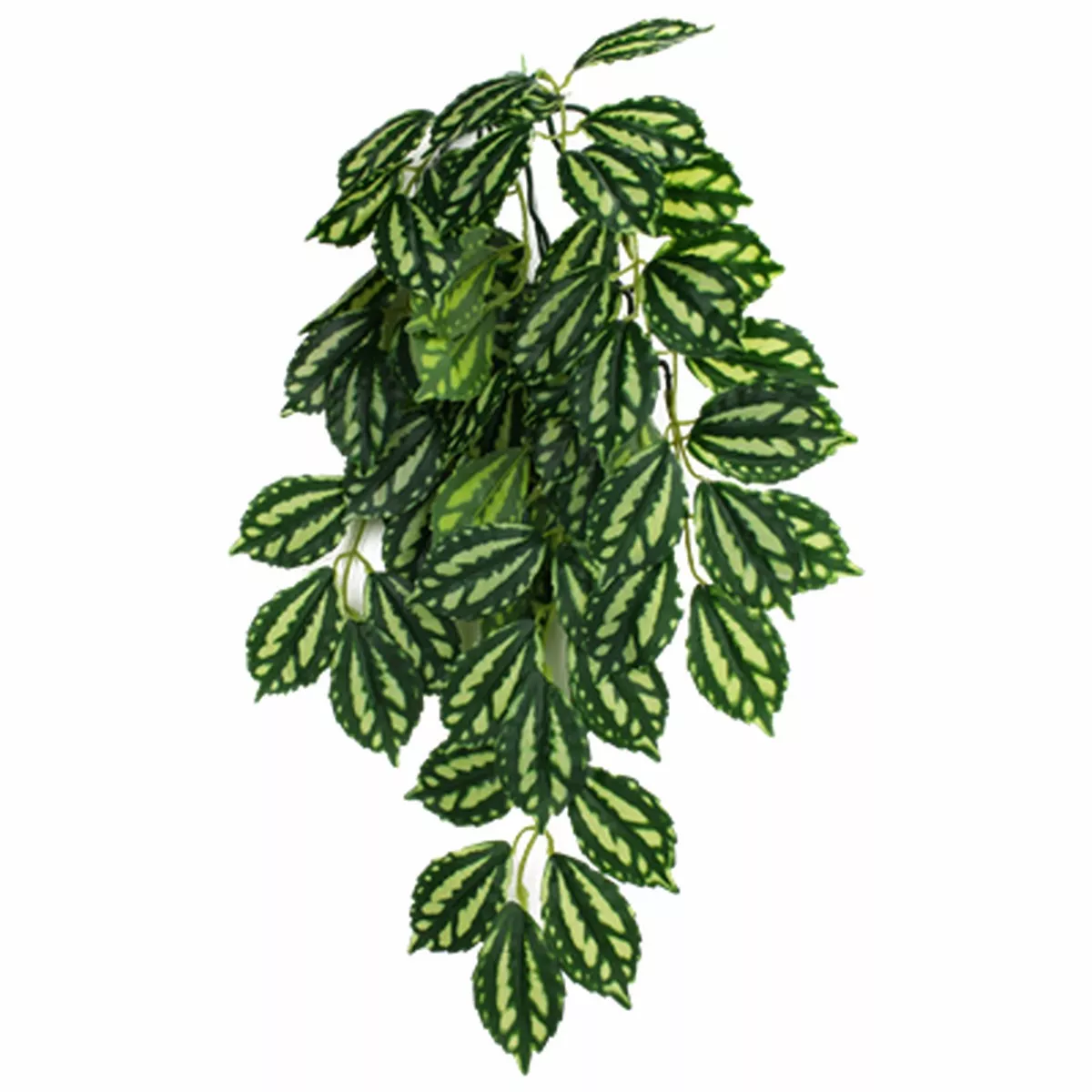 Komodo Hanging Plant Two Tone Leaf Reptile Habitat Decoration