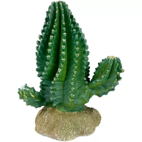 Komodo, Komodo Cactus Plant Columnar, 1 Each/5.9 in