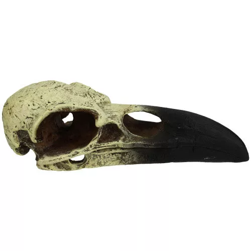 Komodo, Komodo Raven Skull Hideout, 1 Each/LG, 18 in