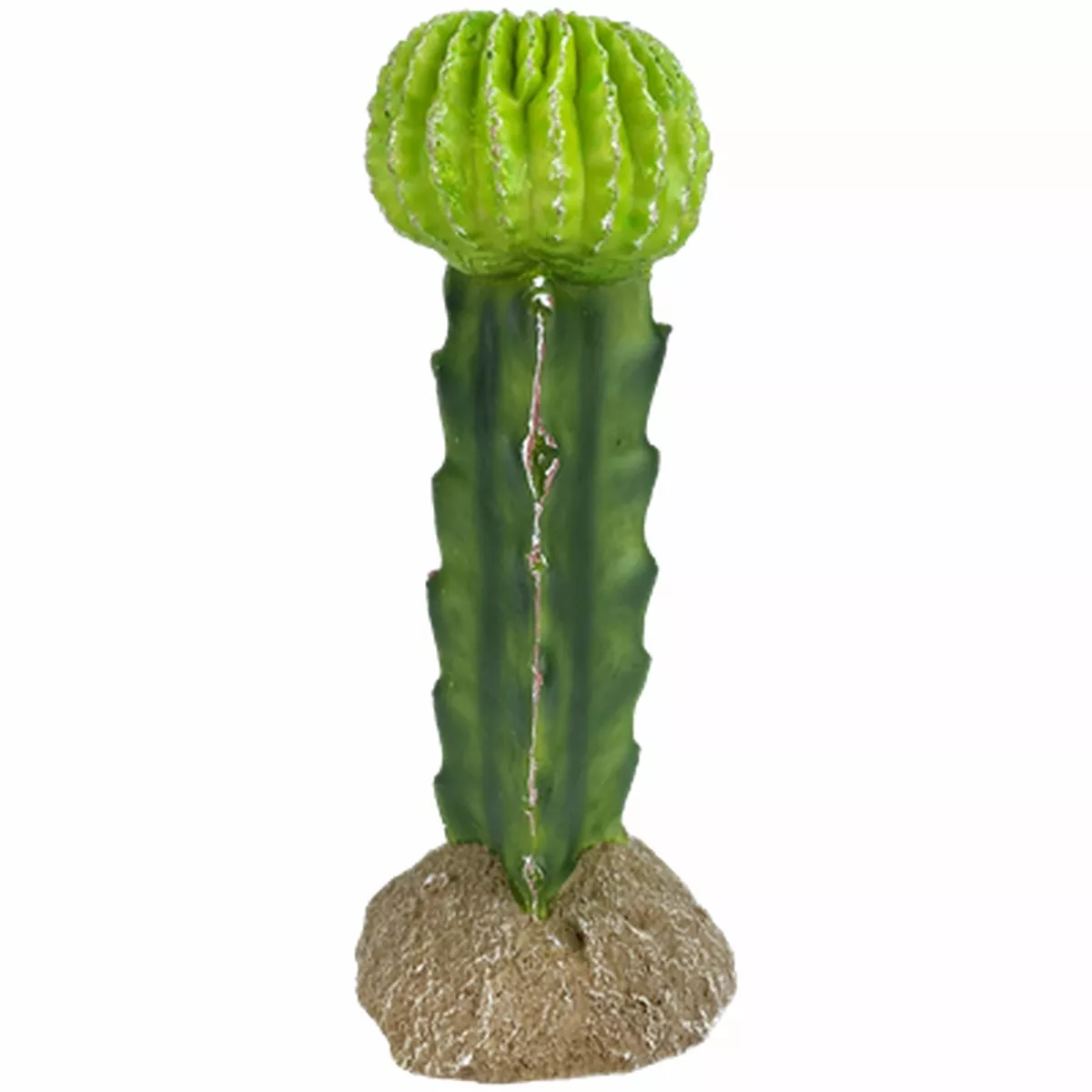Komodo Moon Cactus Reptile Habitat Decoration