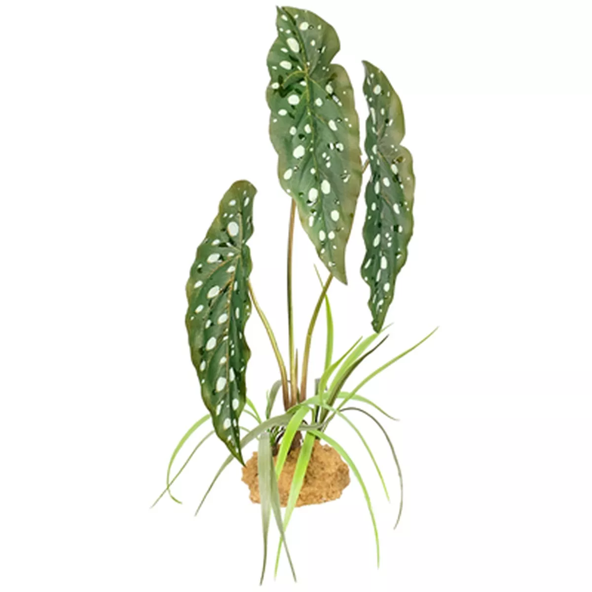 Komodo Spotted Begonia Reptile Habitat Decoration