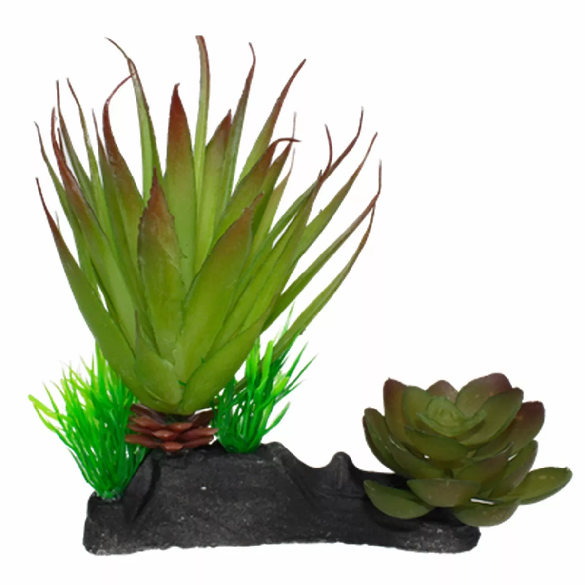 Komodo Succulent Reptile Habitat Decoration