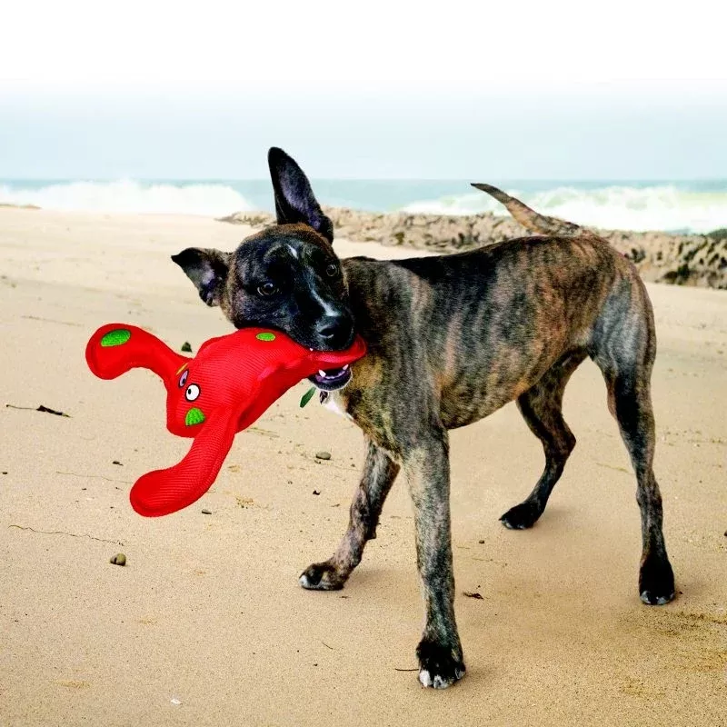 KONG Belly Flops Dog Toy