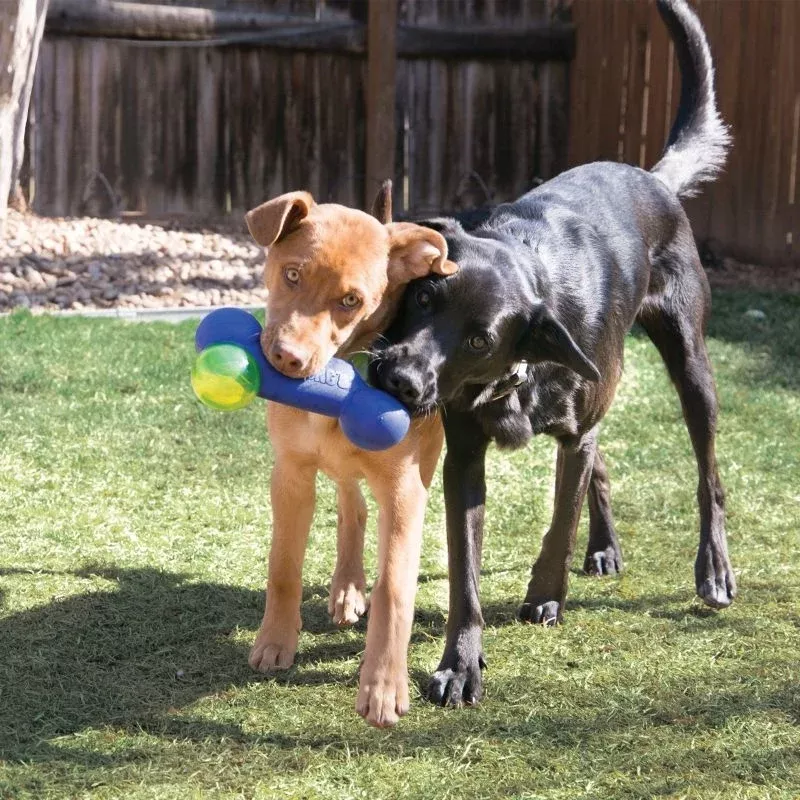 KONG Squeezz Action Bone Dog Toy