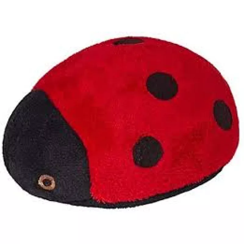 Lady Bug Toy