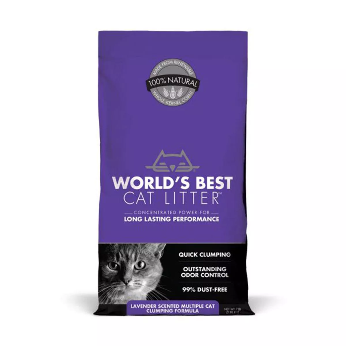 Lavender Multi Cat