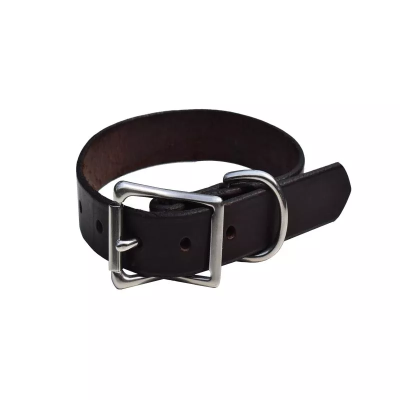 Leather Dog Collar