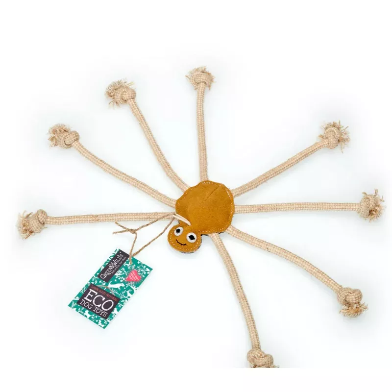 Lily Longlegs
