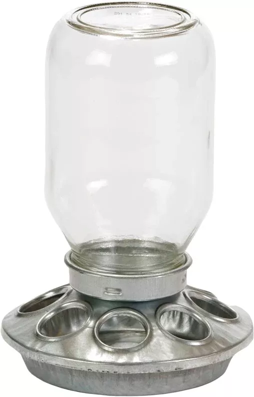 Little Giant Baby Chick Feeder W/Mason Jar