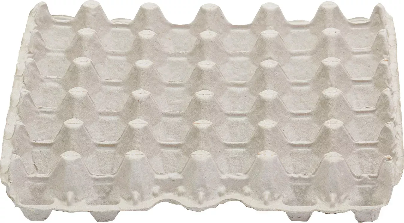 Little Giant Egg Flats 30 Count (Pack Of 4)