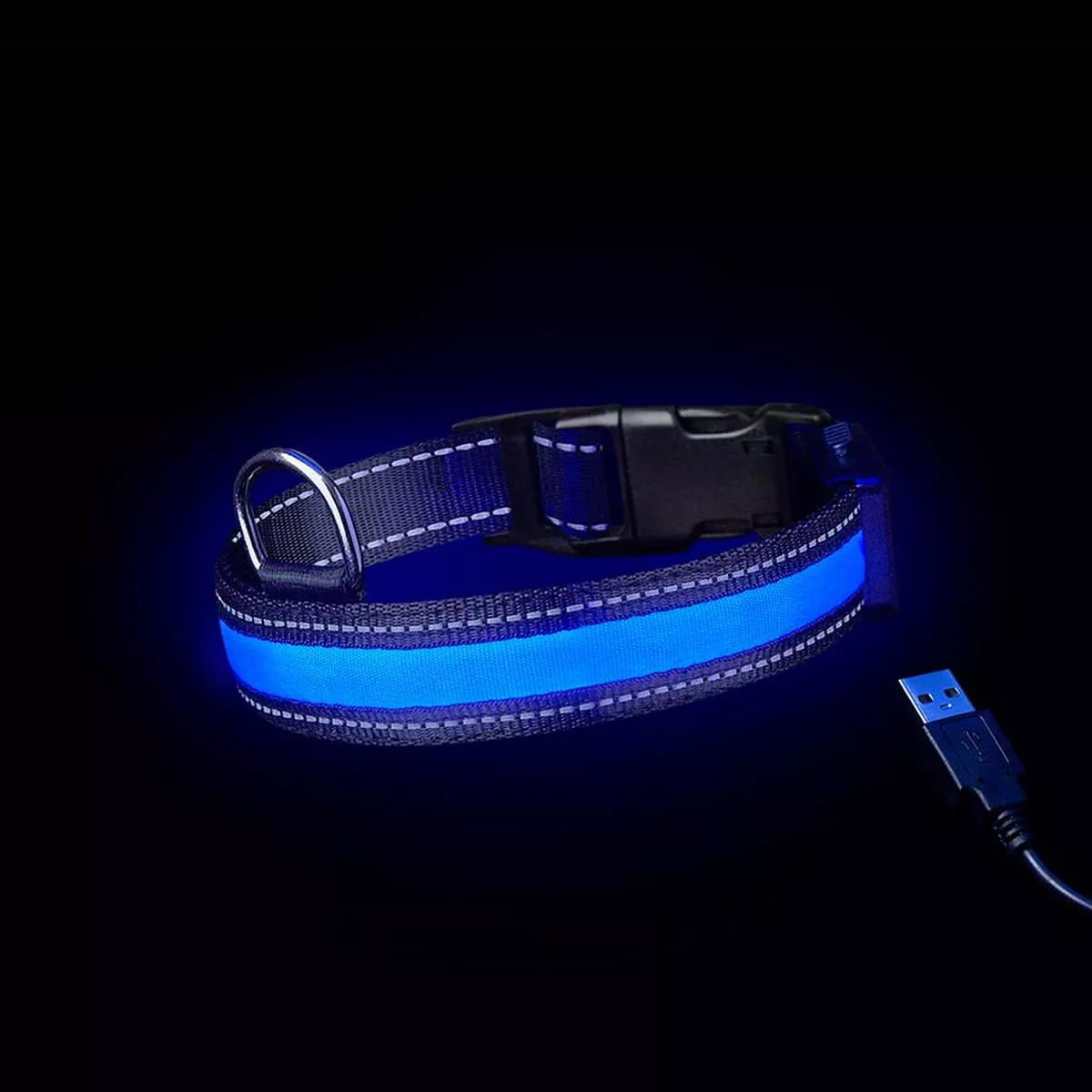 Loomo Moonshine LED Dog Collar Blue