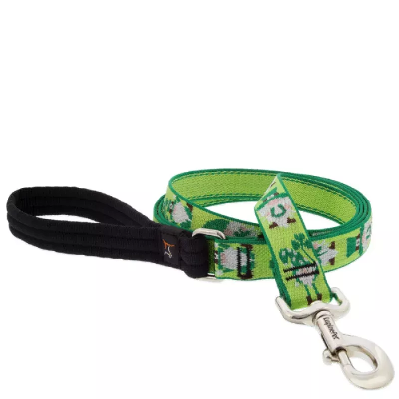 Lucky Gnomes Leash