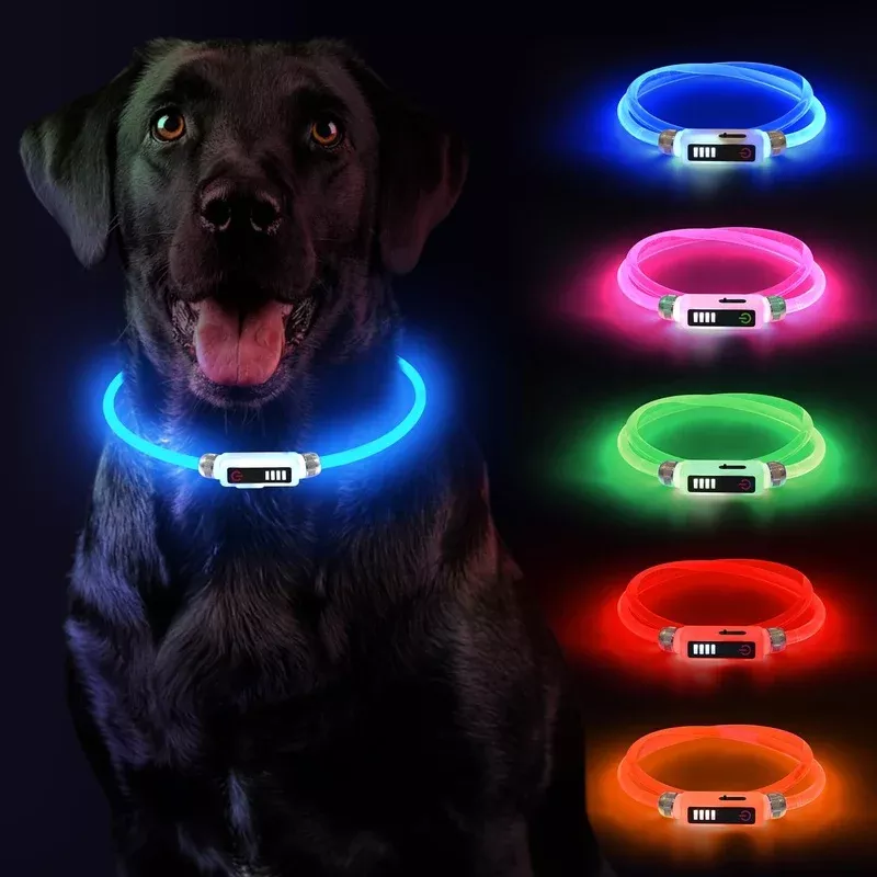 Luminous collar dog Yordawn Led dog collar usb rechargeable waterproof length adjustable pet safety collar power display 3 lighting modes for small medium blue – Creating a Sanctuary for Your Pets and Visiting Wildlife