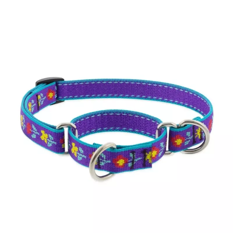 Lupine Martingale Dog Collar for Training 3/4″ x 14-20″ Folk Flower