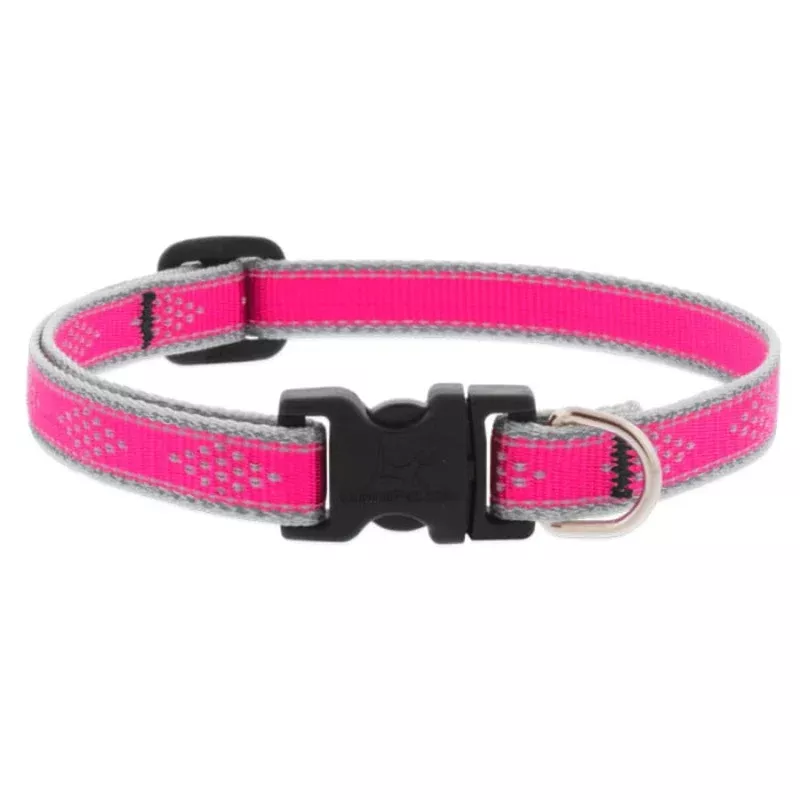Lupine Pet Dog 1/2 In Wide 10-16 In Adjustable Collar Reflective Highlights Pink Diamond – Transform Your Backyard into a Wildlife Oasis for All Creatures