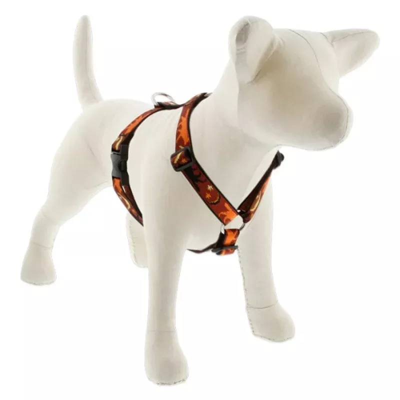 Lupine Pet Dog 1 In 20-32 In Roman Harness Original Designs Shadow Hunter – Transform Your Backyard into a Wildlife Oasis for All Creatures