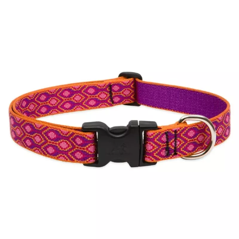 Lupine Pet Dog 1 In Wide 12-20 In Adjustable Collar Original Designs Alpen Glow – Transform Your Backyard into a Wildlife Oasis for All Creatures