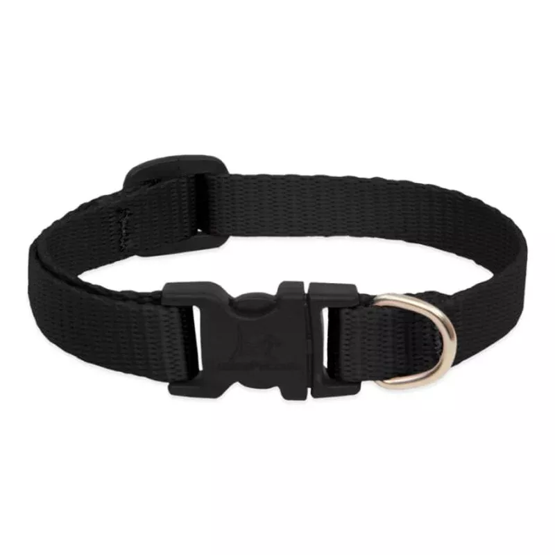 Lupine Pet Dog 2/4 In Wide 9-14 In Adjustable Collar Basic Black – Transform Your Backyard into a Wildlife Oasis for All Creatures
