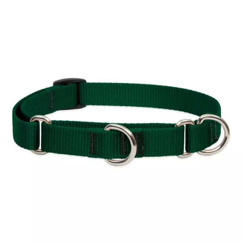 Lupine Pet Dog 3/4 In Wide 10-14 In Martingale Collar Basics Green – Transform Your Backyard into a Wildlife Oasis for All Creatures