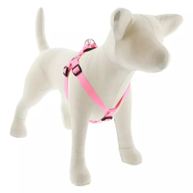 Lupine Pet Dog 3/4 In Wide 15-21 In Step In Harness Basics Pink – Transform Your Backyard into a Wildlife Oasis for All Creatures