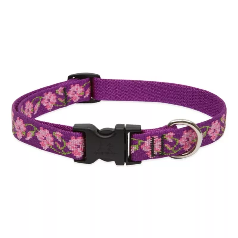 Lupine Pet Dog 3/4 In Wide 15-25 In Adjustable Collar Original Designs Rose Garden – Transform Your Backyard into a Wildlife Oasis for All Creatures
