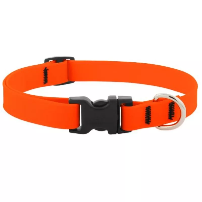 Lupine SPLASH Neon Orange 13-22″ Collar