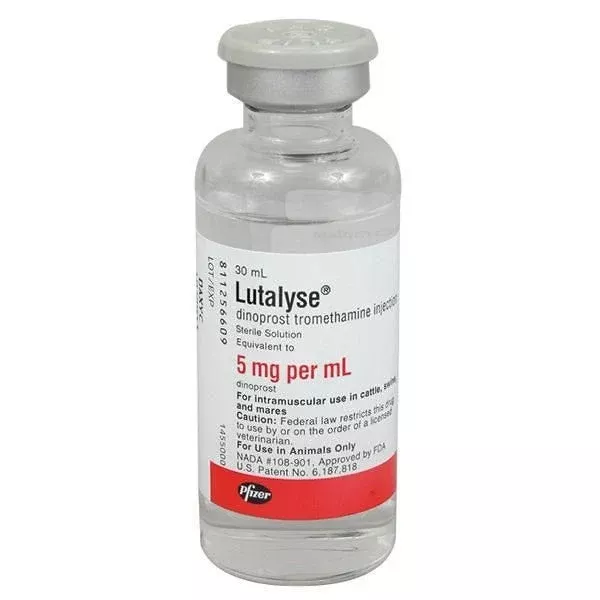 Lutalyse Injection
