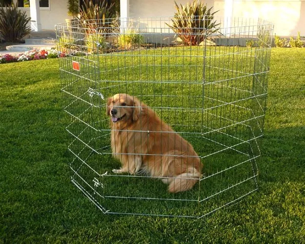 Majestic Pet Dog Exercise Kennel Pen