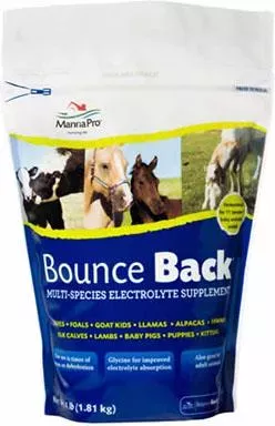 Manna Pro, Bounce Back, Electrolyte, 4 lb