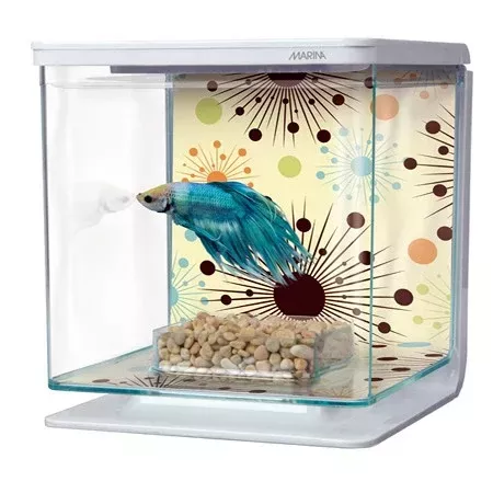 Marina Betta Kit – Fireworks