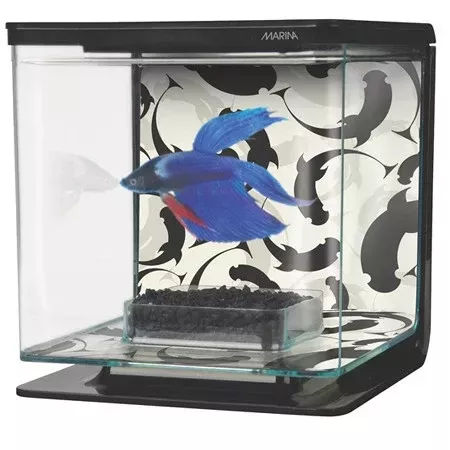 Marina Betta Kit – Ying/Yang