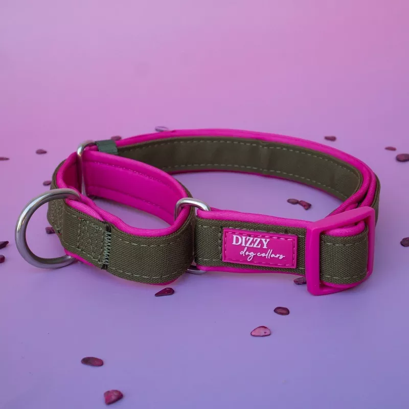 Martingale Dog Collar – The Fig: Stainless Steel