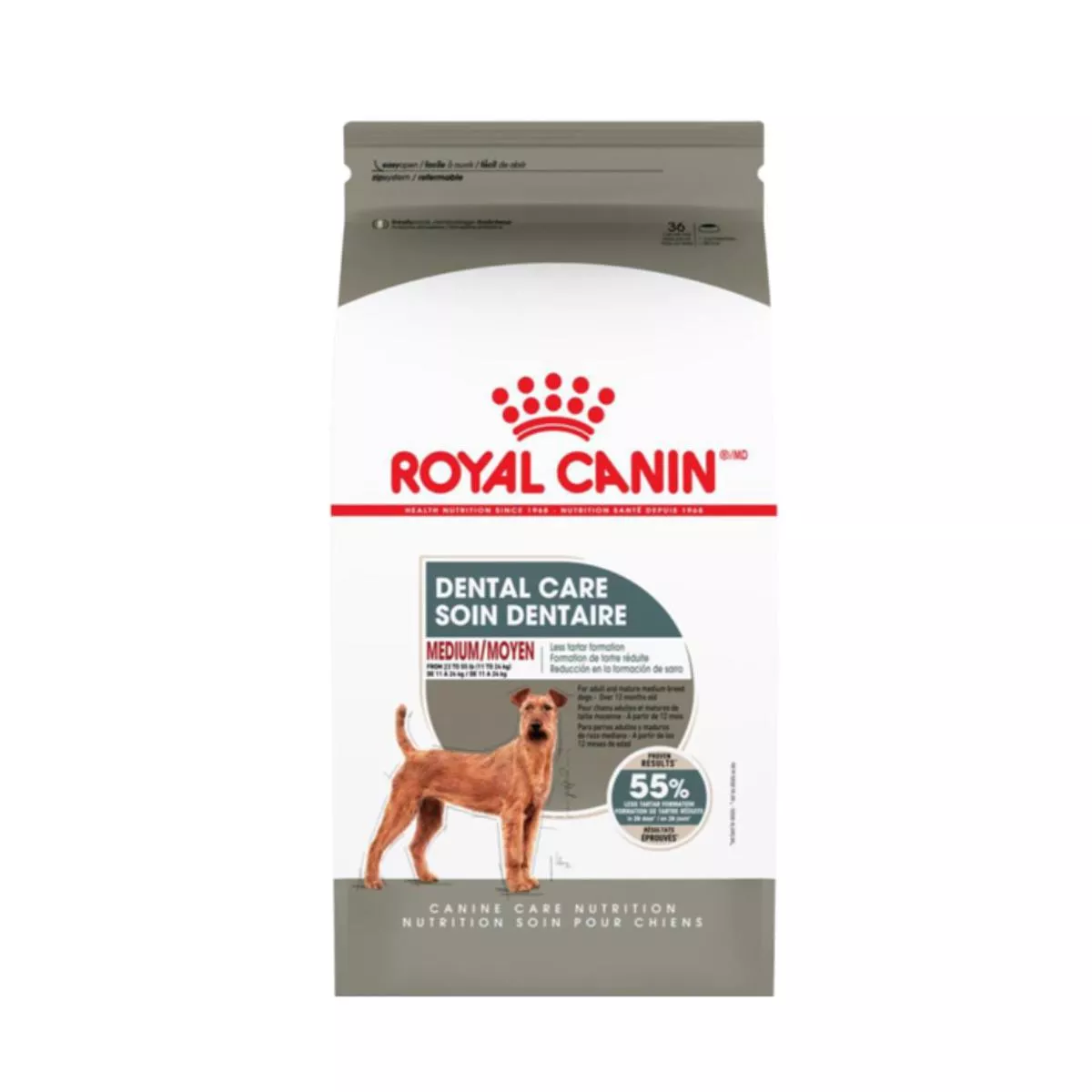 Medium Dental Care