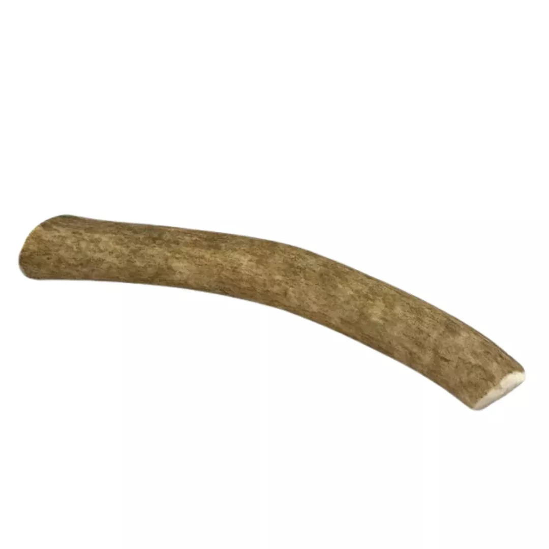 Medium Whole Elk Antler Dog Chew