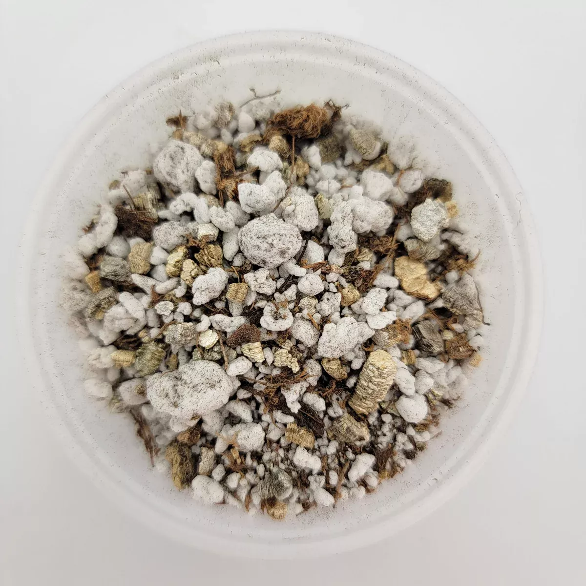Mexican Pinguicula soil mix