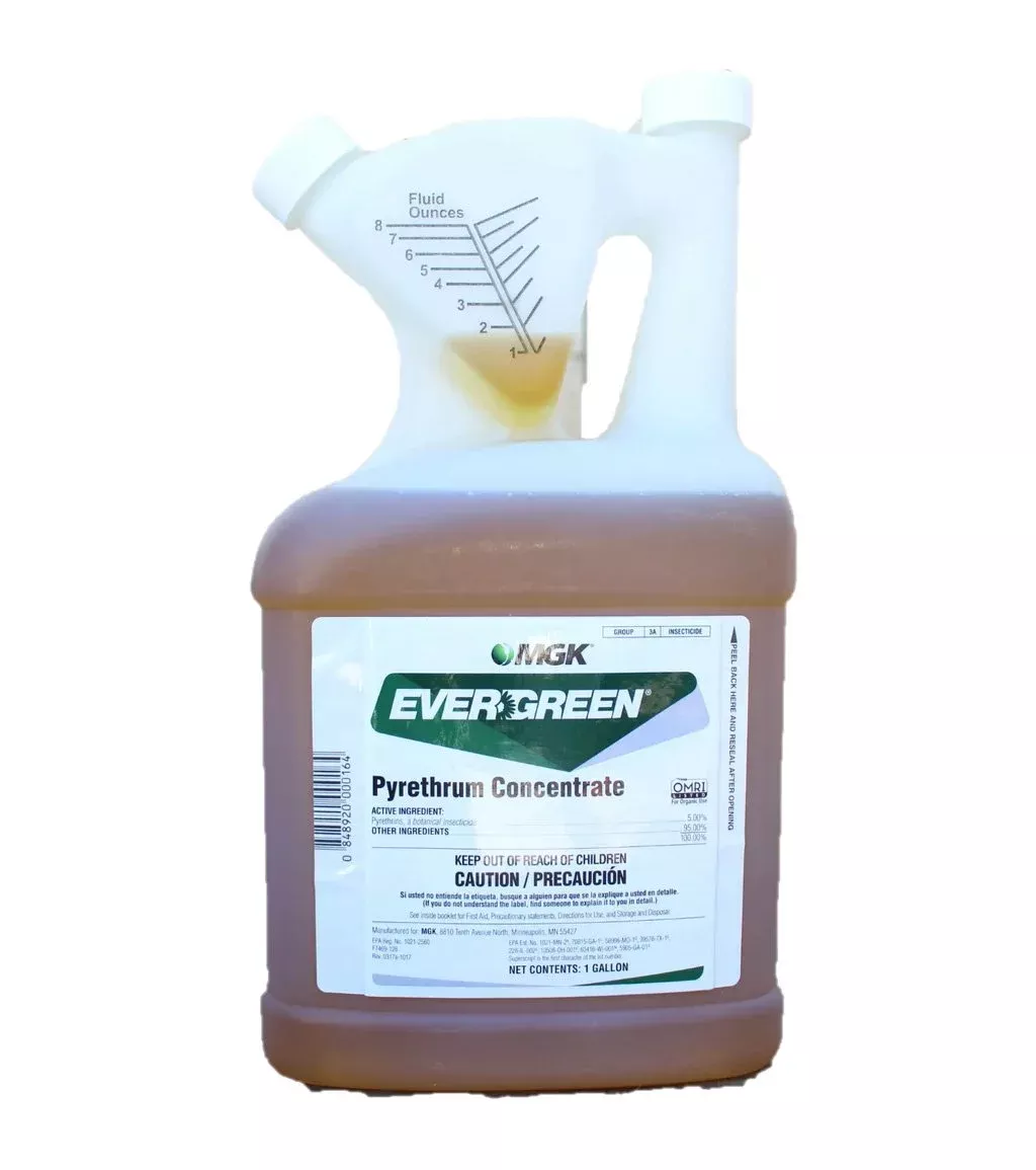 MGK EverGreen Pyrethrum Concentrate – 16 oz