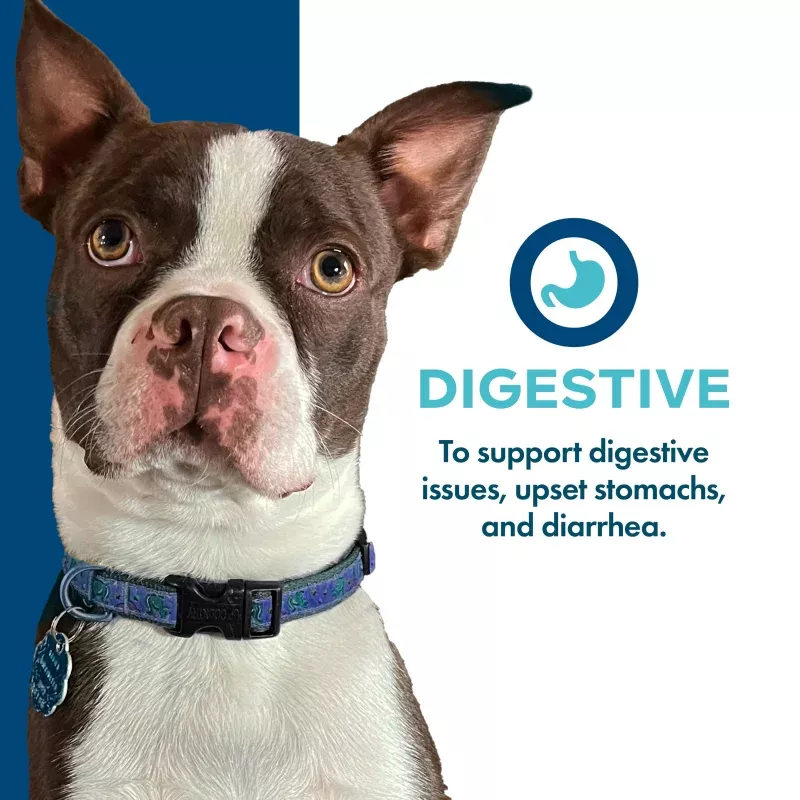 MOBILITY FUNCTIONAL DOG TREATS