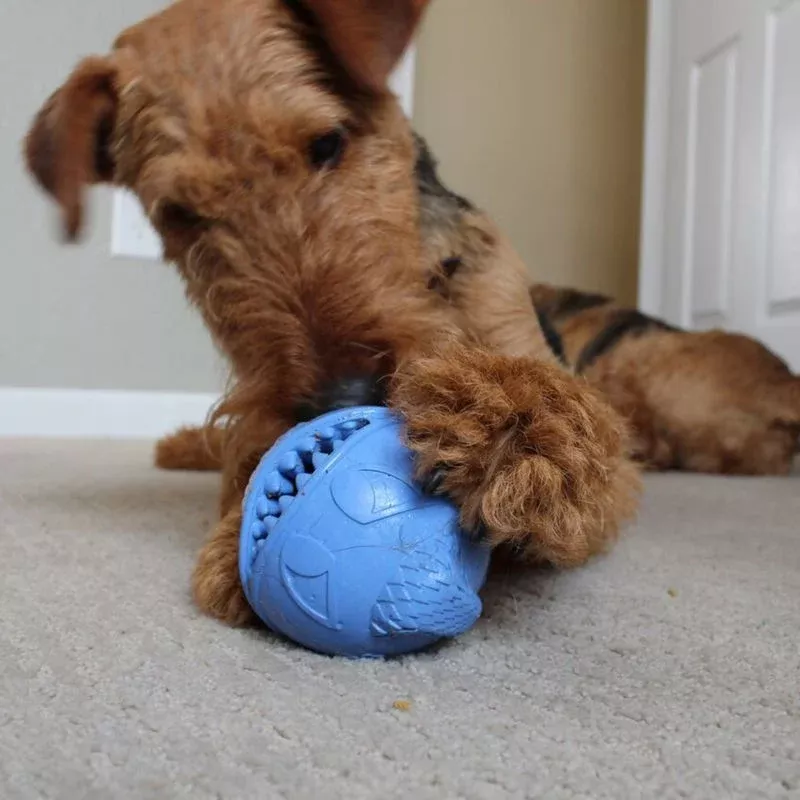 Monster Ball Dog Toy