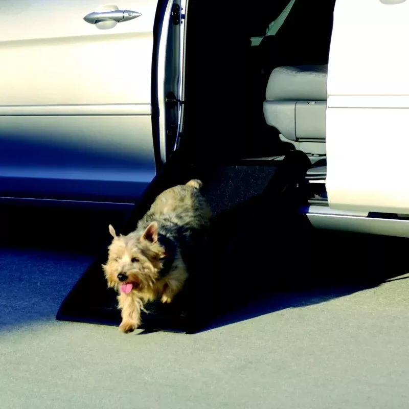Mr Herzher Smart Dog Ramp