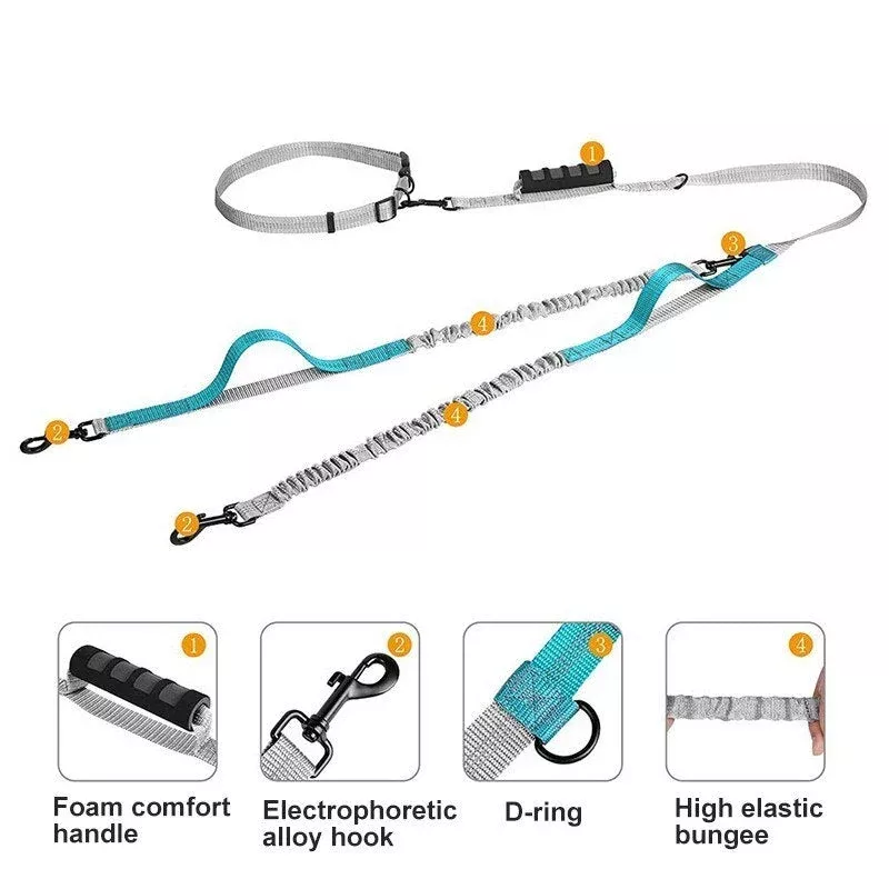 Multifunctional Handsfree Bungee Dog Leash