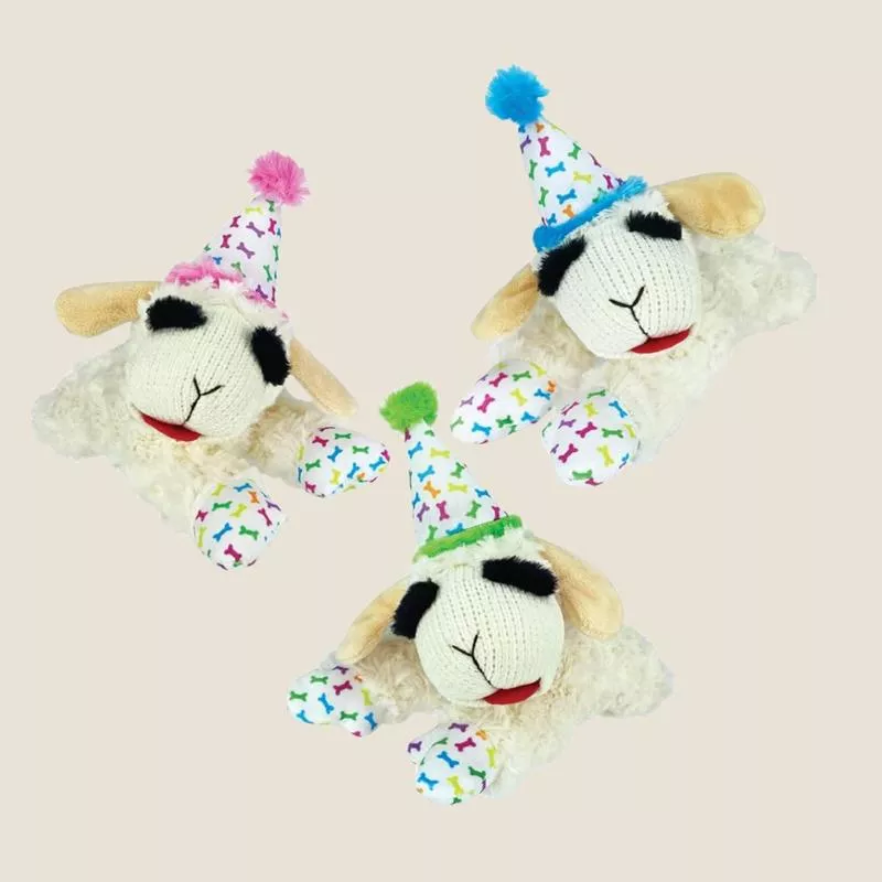 Multipet – Birthday Lamb Chop