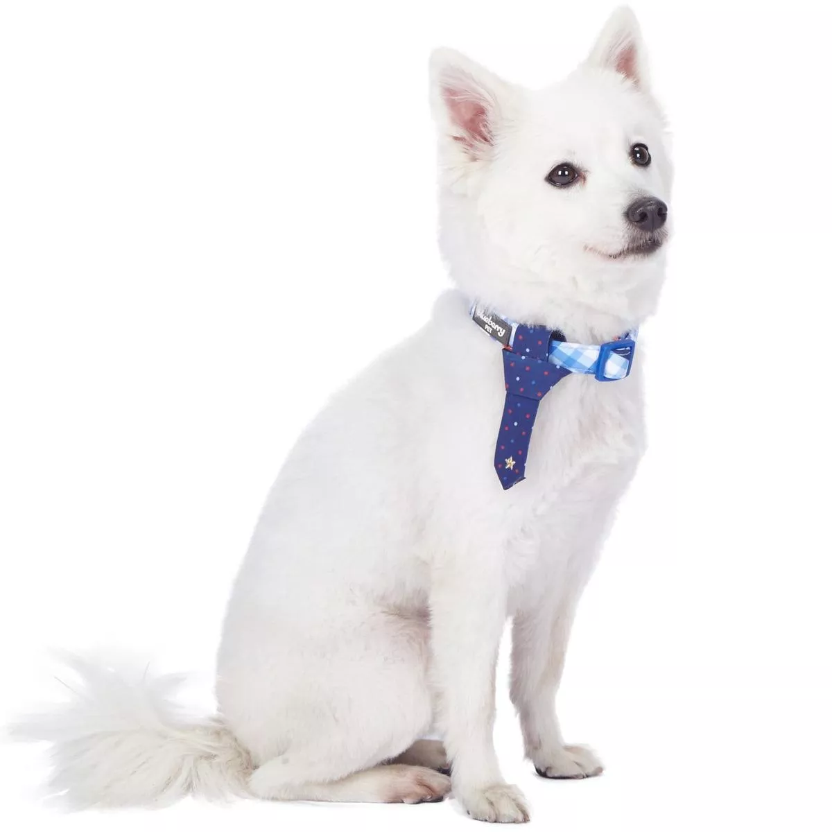 Multiple Hues Scottish Dog Collar With Tie For Pets