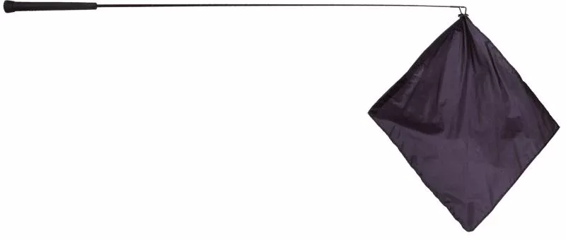Mustang Training Flag