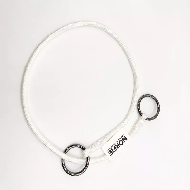 Norfie Champion Nylon Dog Show Collar