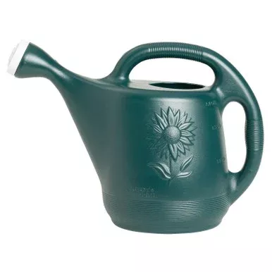 Novelty Plastic Watering Green Can – 2 gal