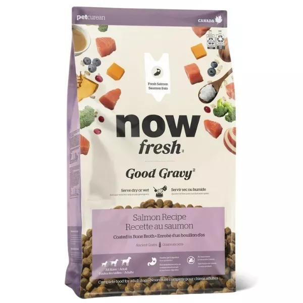 Now Fresh Good Gravy Recipe for Adult Dogs - Salmon Coated in Bone Broth