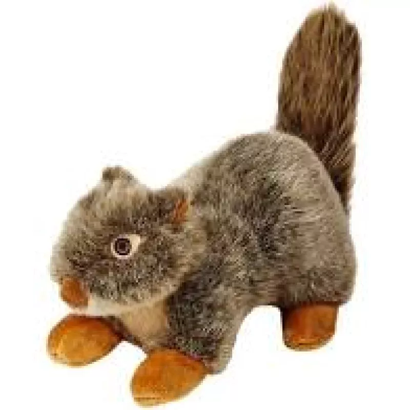 Nuts Squirrel
