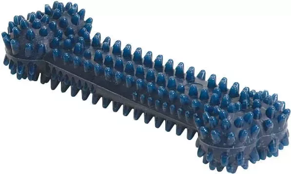 Nylabone Dental Chew Bone for Dogs