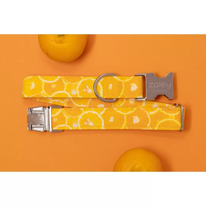Oranges Dog Collar