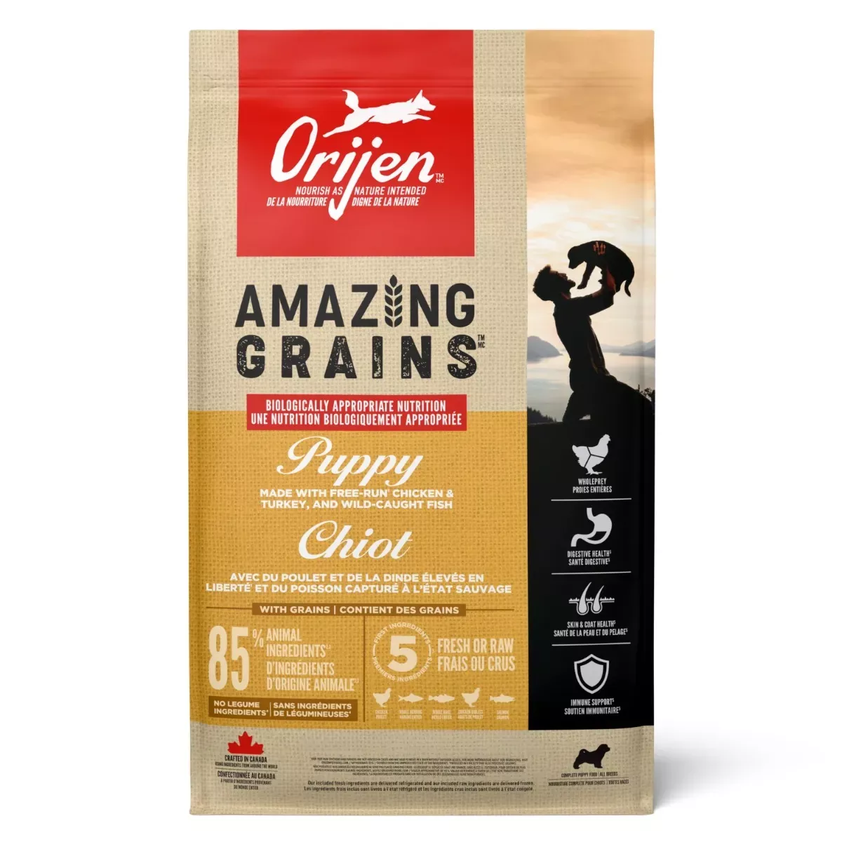 Orijen Amazing Grains Dry Dog Food - Puppy